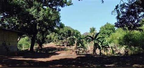 tanay rizal property for sale.